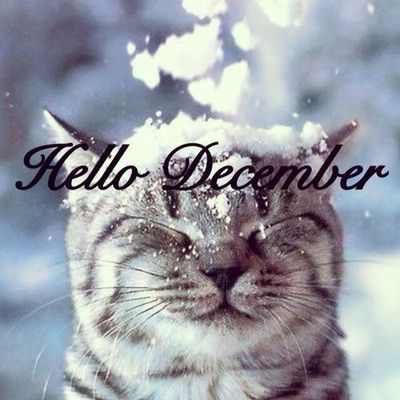 hello December.jpg