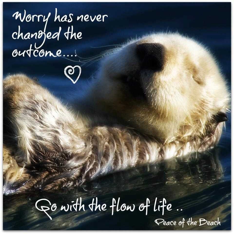 worry-has-neve-changed-the-outcome-go-with-the-flow-of-life-worry-quote - Copy (2).jpg