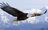 bald-eagle-wallpapers-flight.jpg