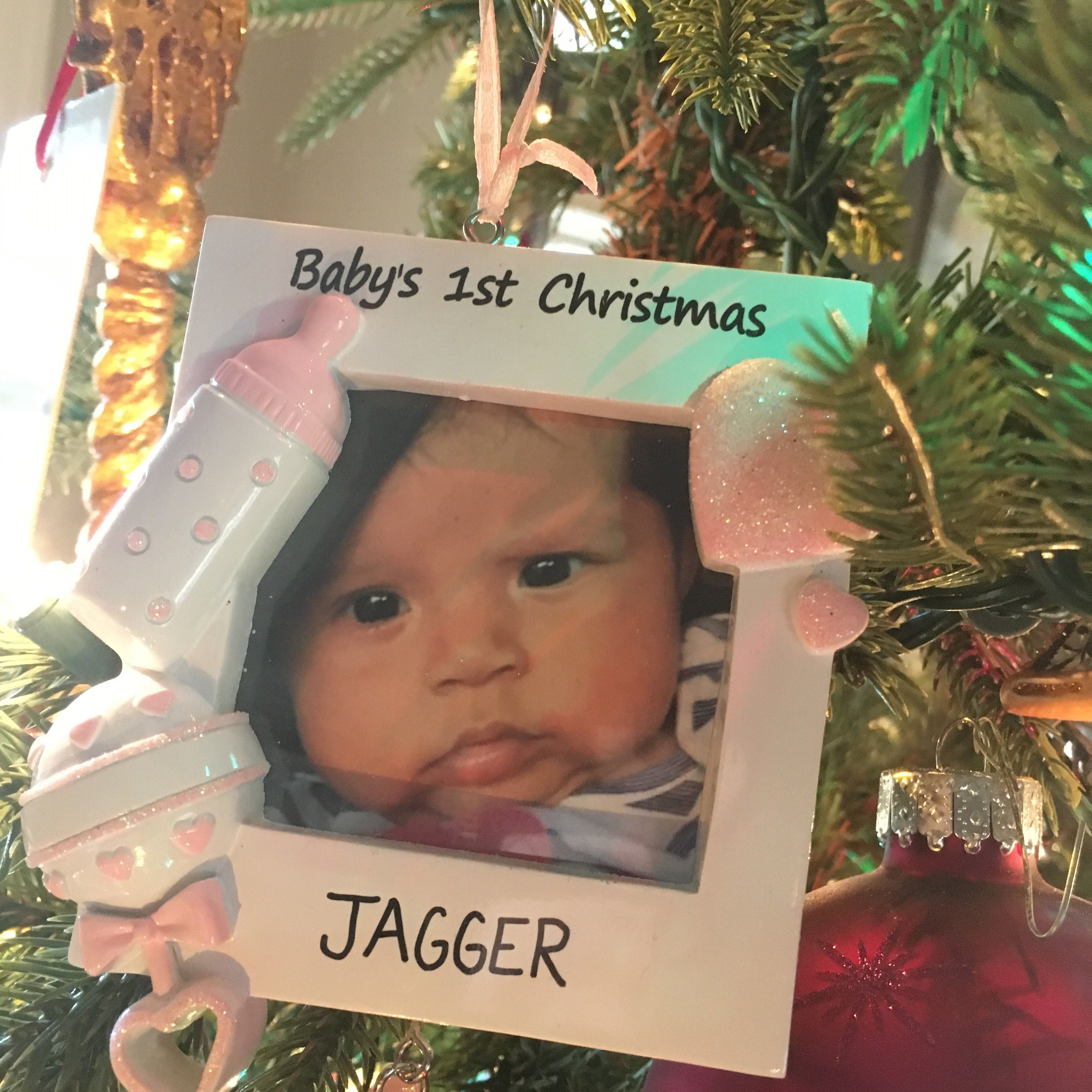 Jagger Ornament.jpg